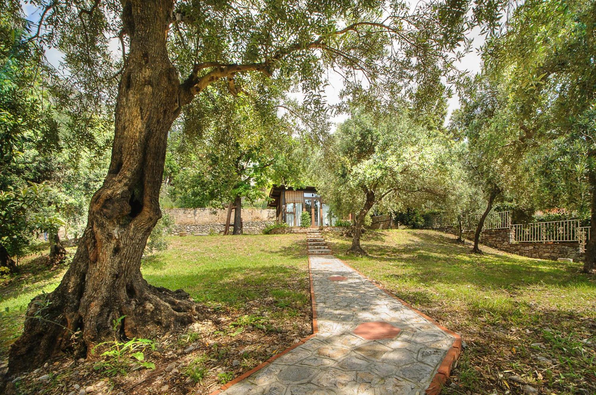 B&B La Torretta Маратеа Екстер'єр фото