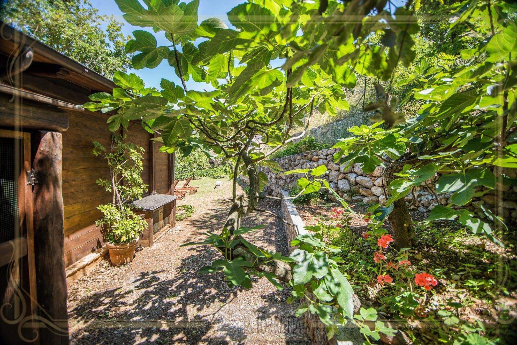B&B La Torretta Маратеа Екстер'єр фото